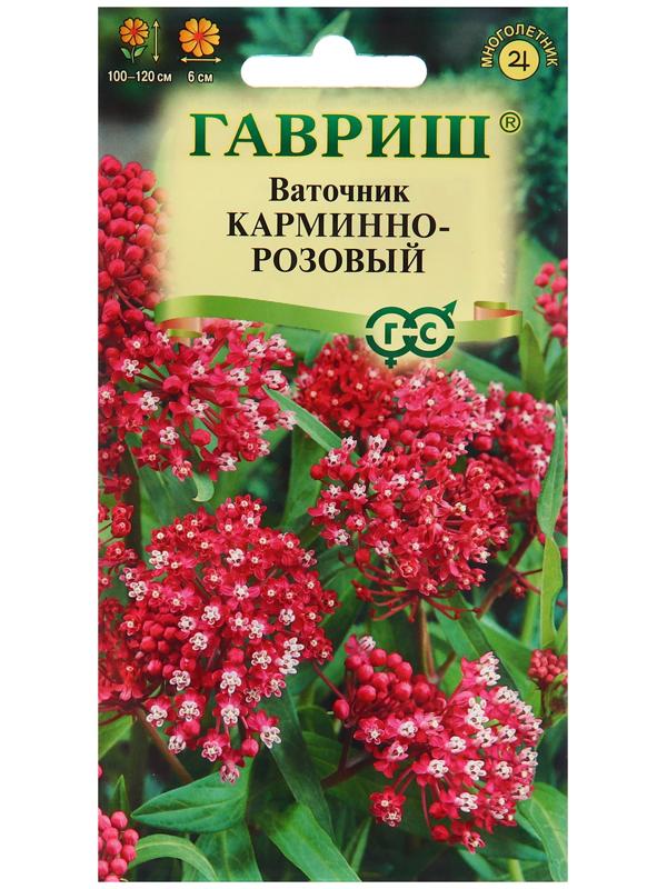 Семена Ваточник 