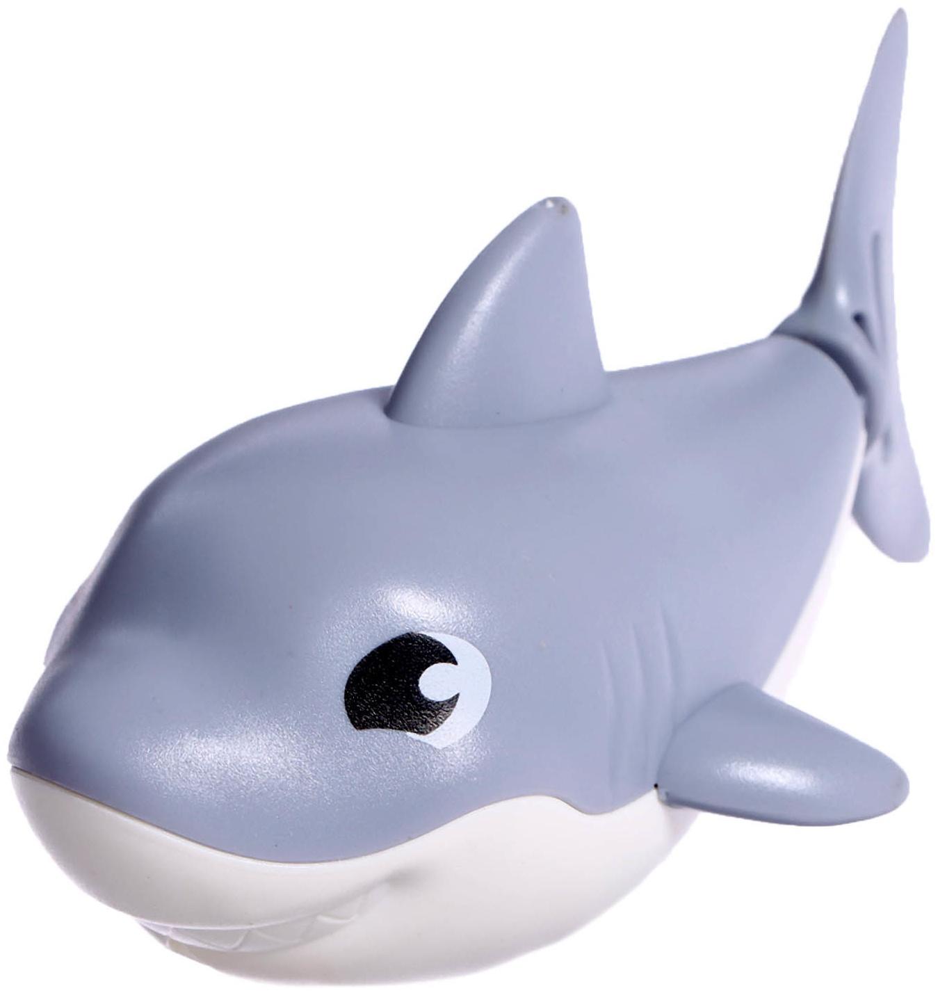 Заводная игрушка водоплавающая «Акулёнок», цвета МИКС