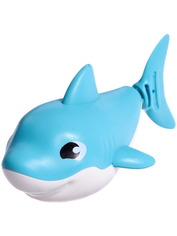 Заводная игрушка водоплавающая «Акулёнок», цвета МИКС