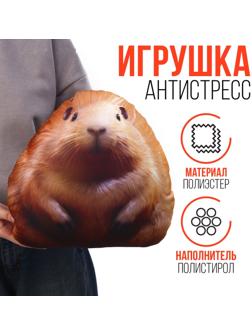 Игрушка антистресс 