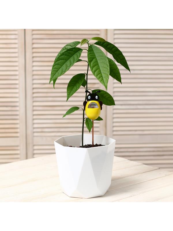 Измеритель влажности почвы «Пчёлка»