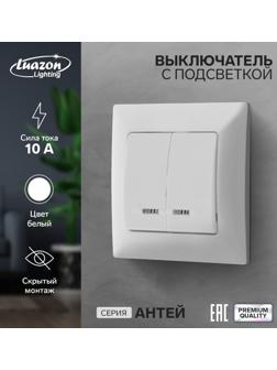 Выключатель Luazon Lighting 
