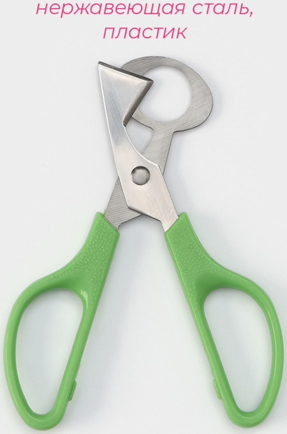 Ножницы для перепелиных яиц, 14×6 см, цвет зелёный