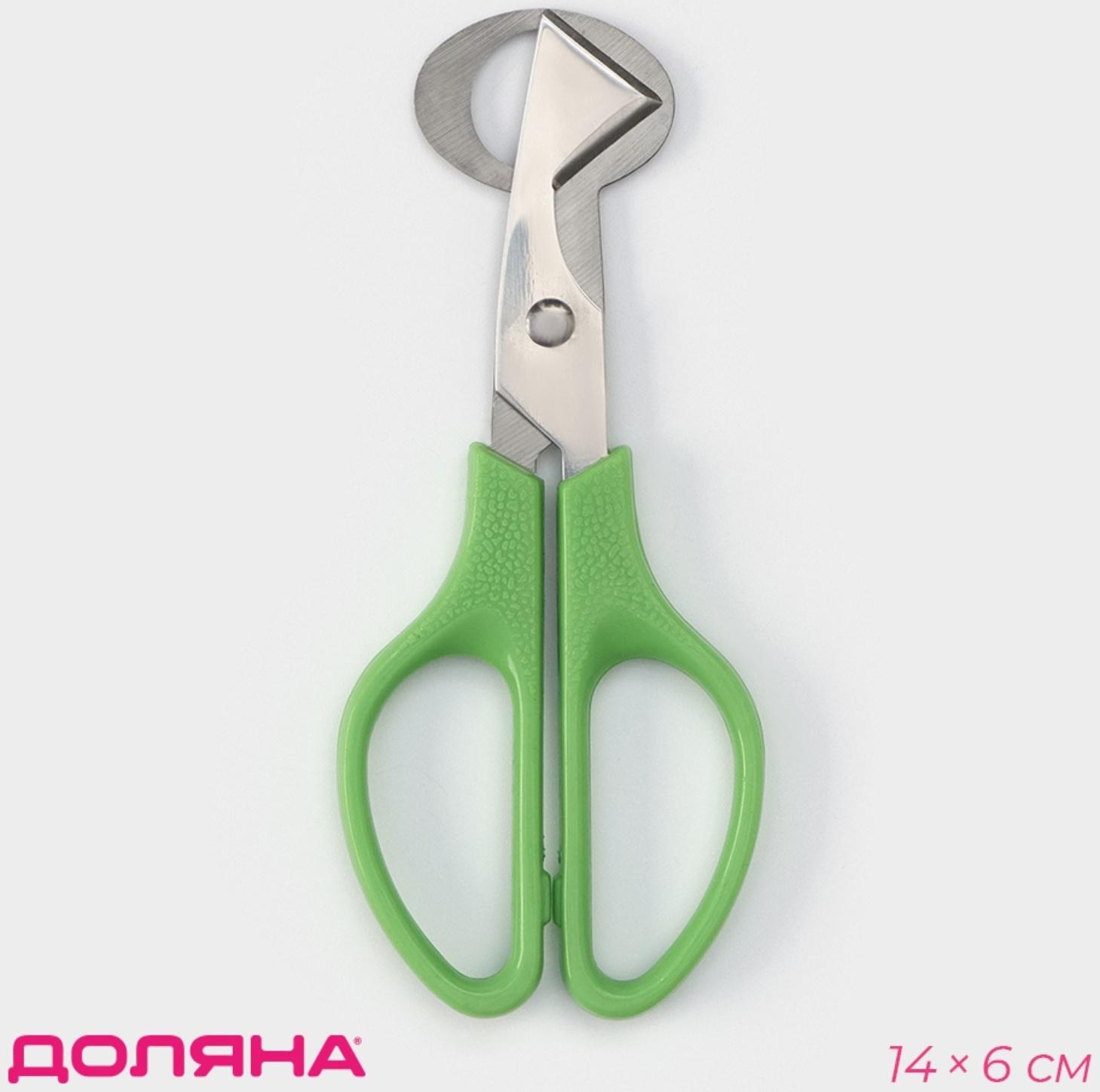 Ножницы для перепелиных яиц, 14×6 см, цвет зелёный