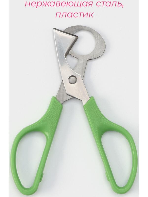 Ножницы для перепелиных яиц, 14×6 см, цвет зелёный