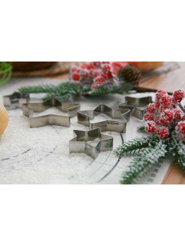 Набор форм для вырезания печенья Доляна «Звёздочки», 5 шт: 8×8×1,5 см, 7×7×1,5 см, 6×6×1,5 см, 5×5×1,5 см, 3,9×3,9×1,5 см, цвет хромированный