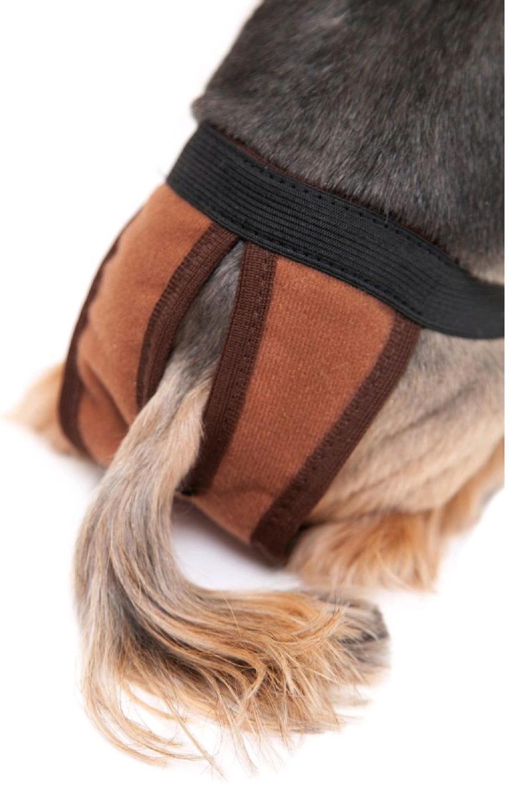 Трусы для собак многоразовые, L (обхват талии 33-52 см, глубина 40 см), коричневые