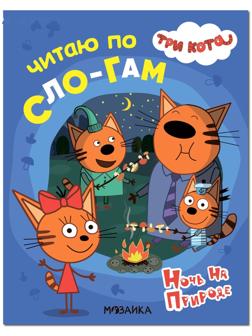 Ночь на природе