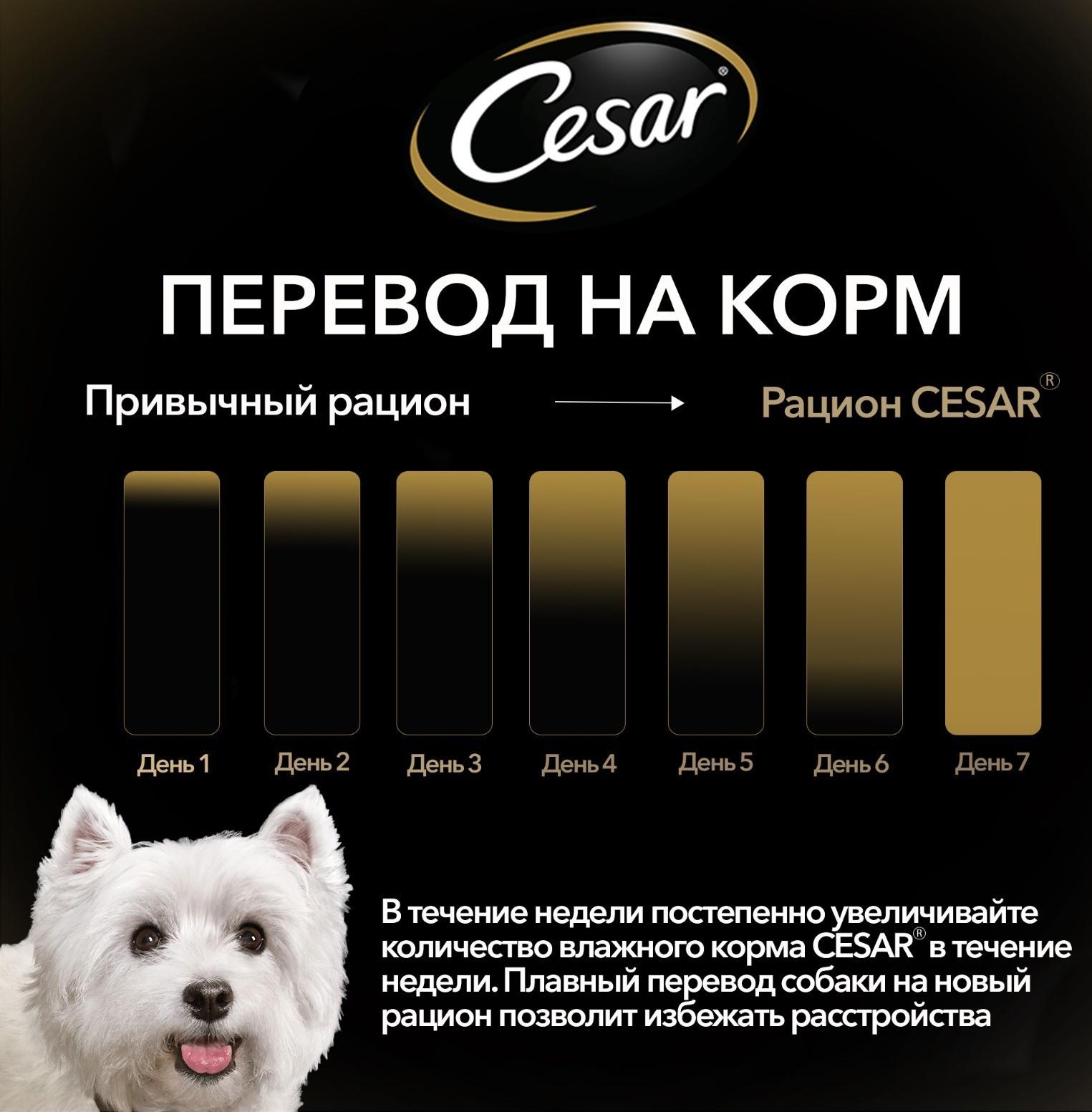 Влажный корм Cesar для собак, телятина/овощи, пауч,  85 г