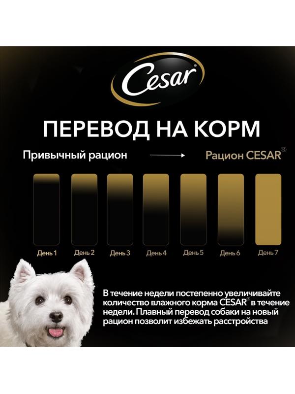 Влажный корм Cesar для собак, телятина/овощи, пауч,  85 г