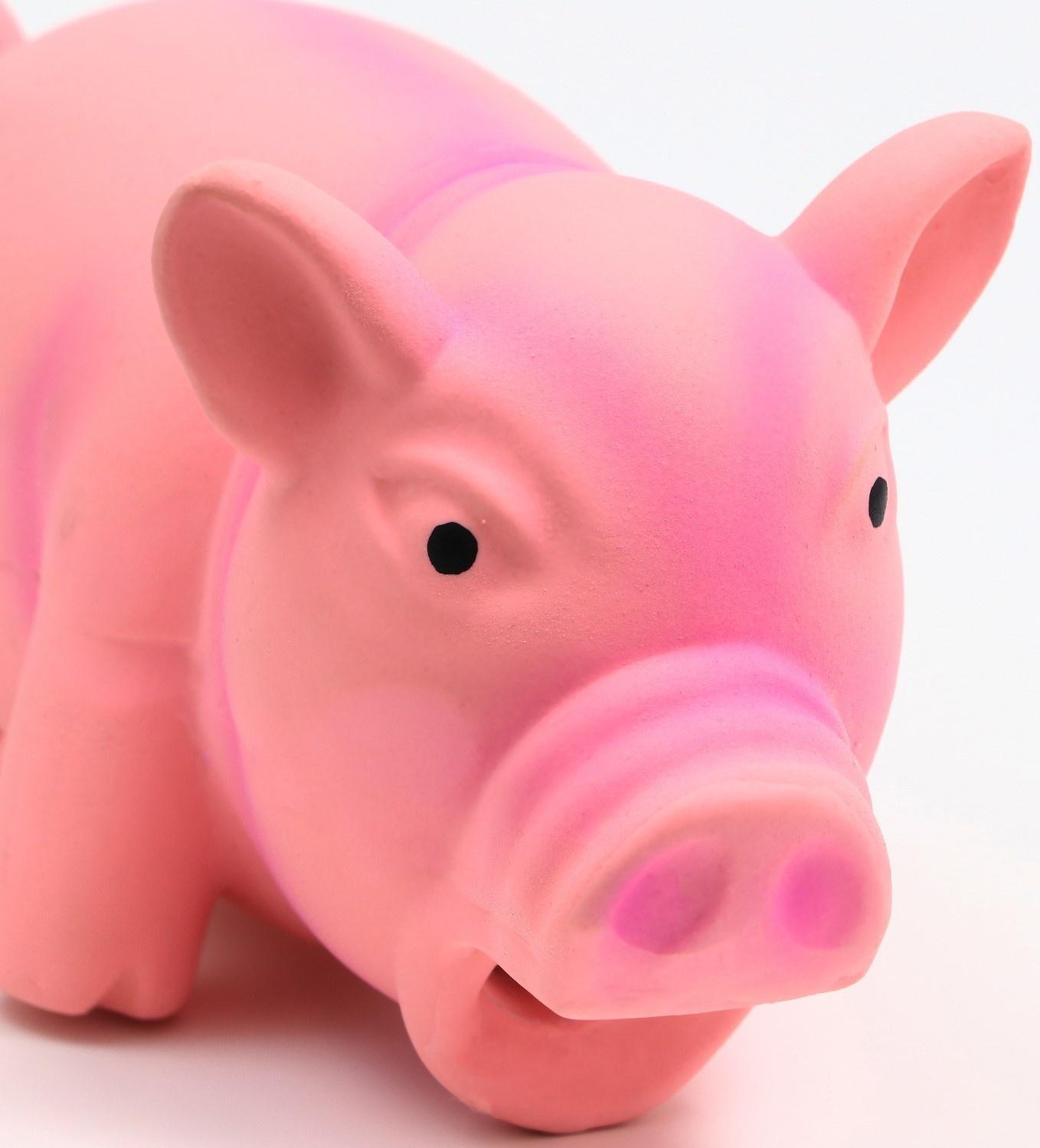 Игрушка хрюкающая для собак из латекса 