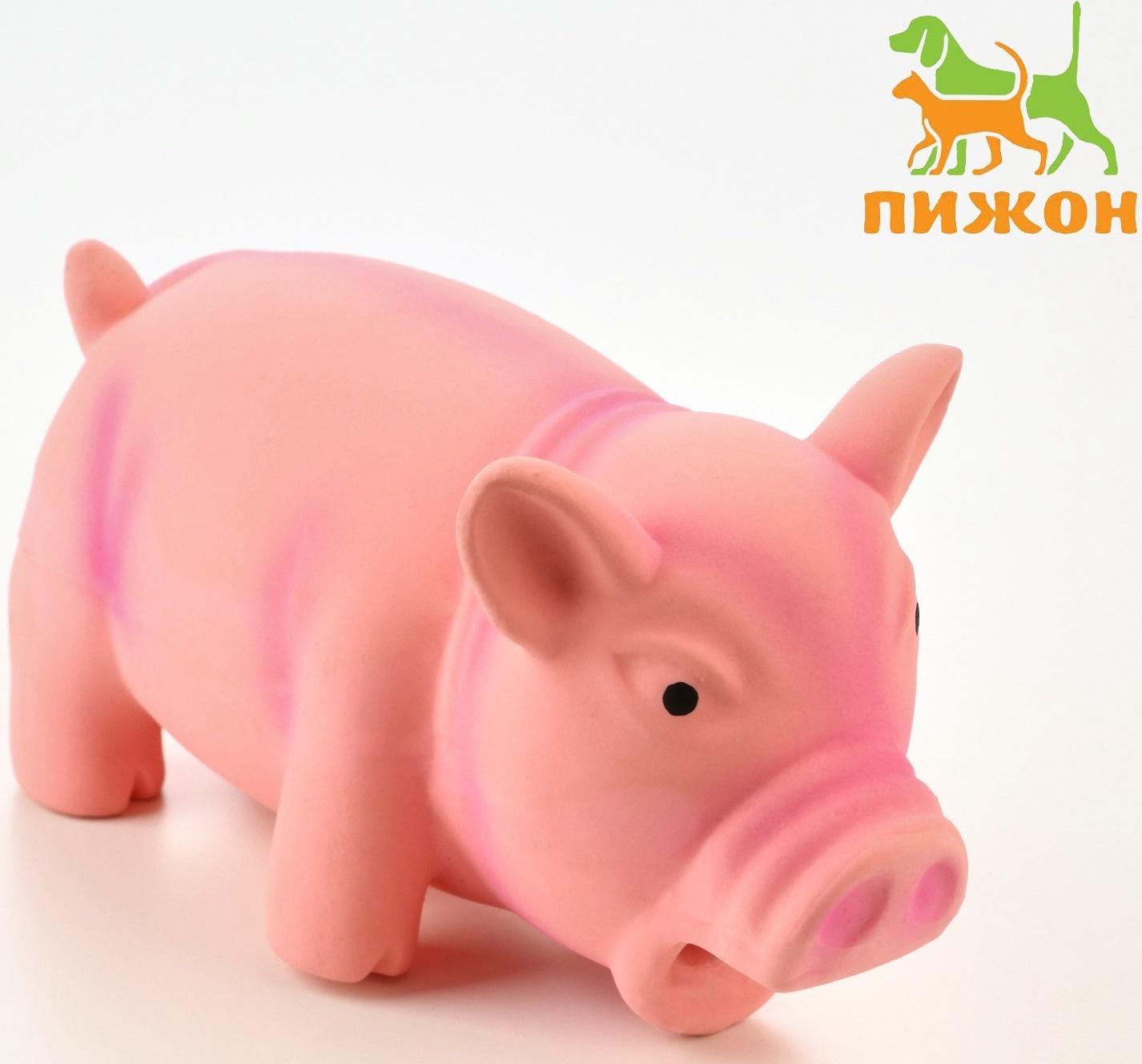 Игрушка хрюкающая для собак из латекса 