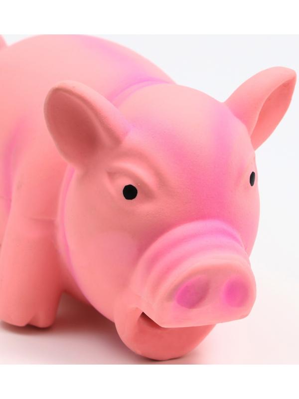 Игрушка хрюкающая для собак из латекса 