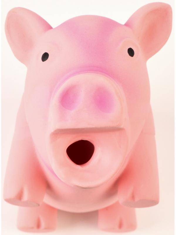 Игрушка хрюкающая для собак из латекса 