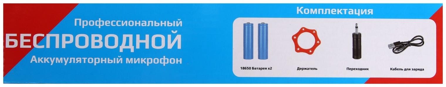 Микрофон для караоке ELTRONIC 10-03, беспроводной, приемник, черный