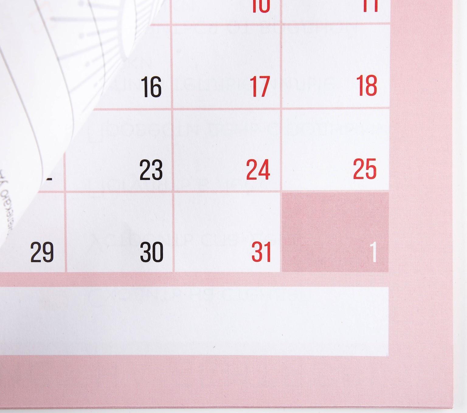 Календарь-планинг «Антистресс», 29 х 21 см