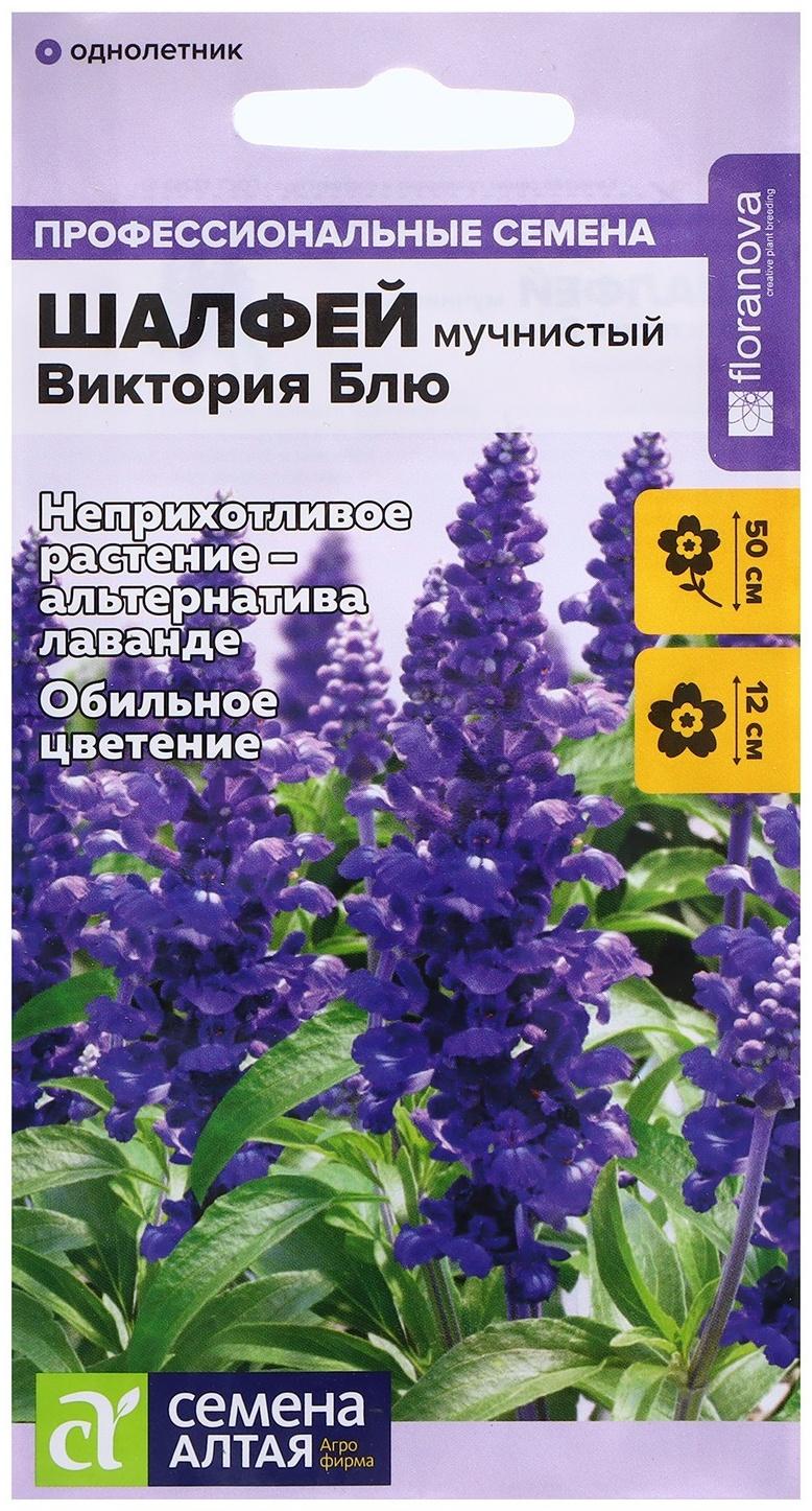 Семена Шалфей 