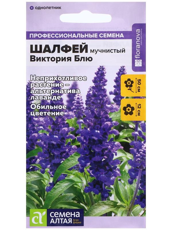 Семена Шалфей 