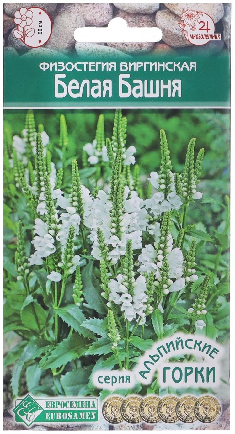 Семена Физостегия виргинская 