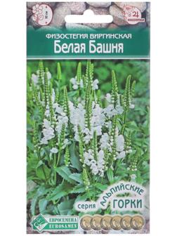 Семена Физостегия виргинская 