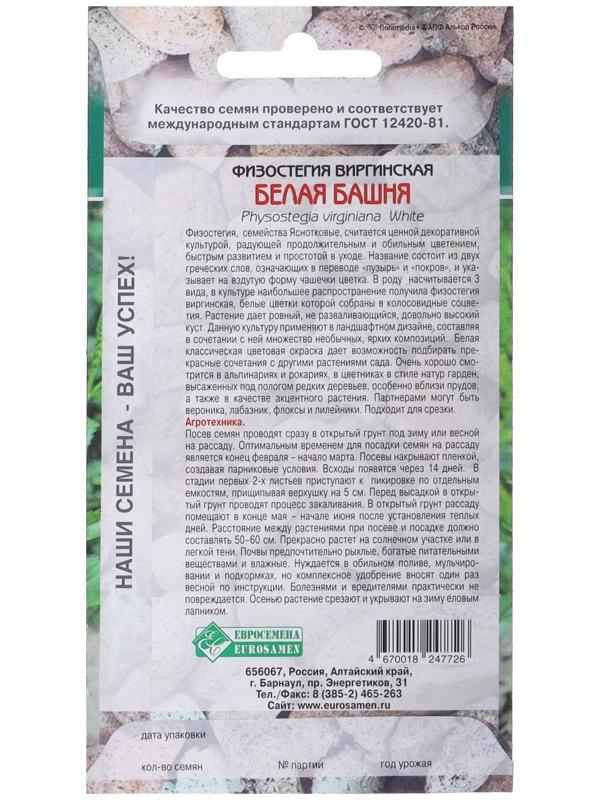 Семена Физостегия виргинская 