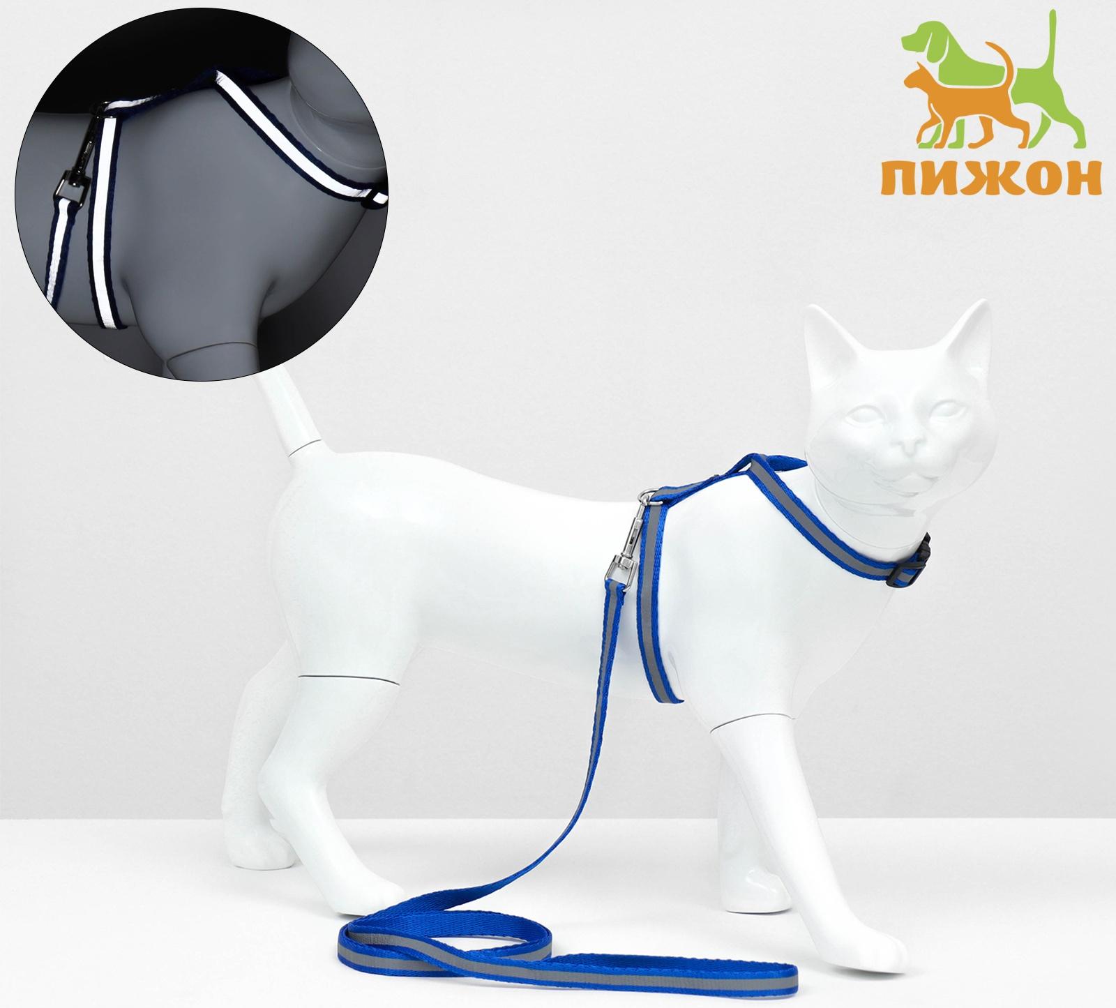 Комплект для кошек светоотражающий,ширина 1 см,шлейка 21-35 см,поводок 120 см, синий