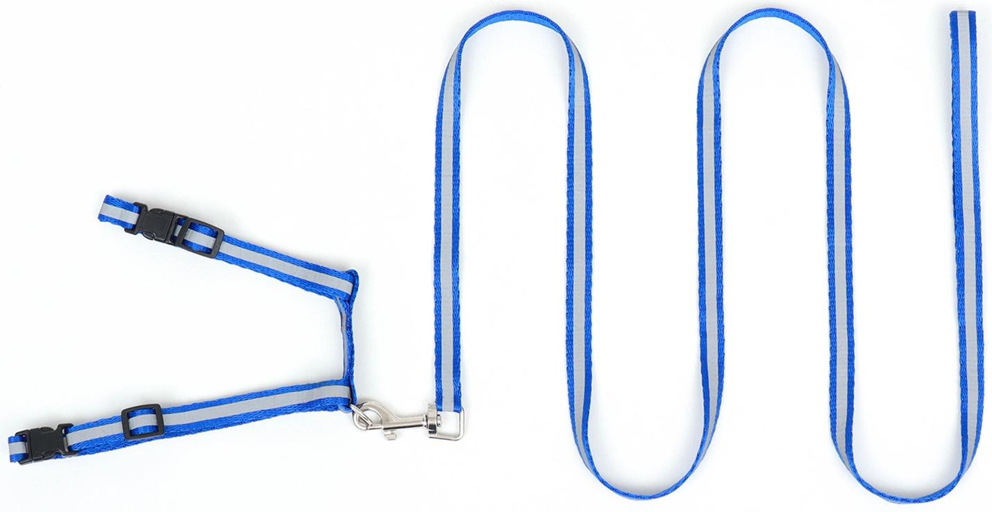 Комплект для кошек светоотражающий,ширина 1 см,шлейка 21-35 см,поводок 120 см, синий