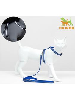 Комплект для кошек светоотражающий,ширина 1 см,шлейка 21-35 см,поводок 120 см, синий