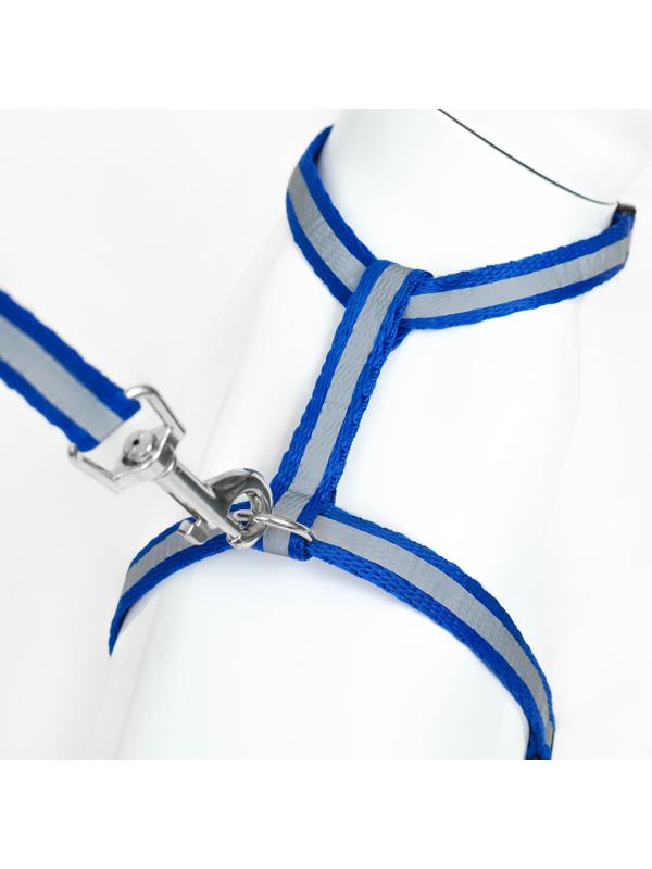 Комплект для кошек светоотражающий,ширина 1 см,шлейка 21-35 см,поводок 120 см, синий