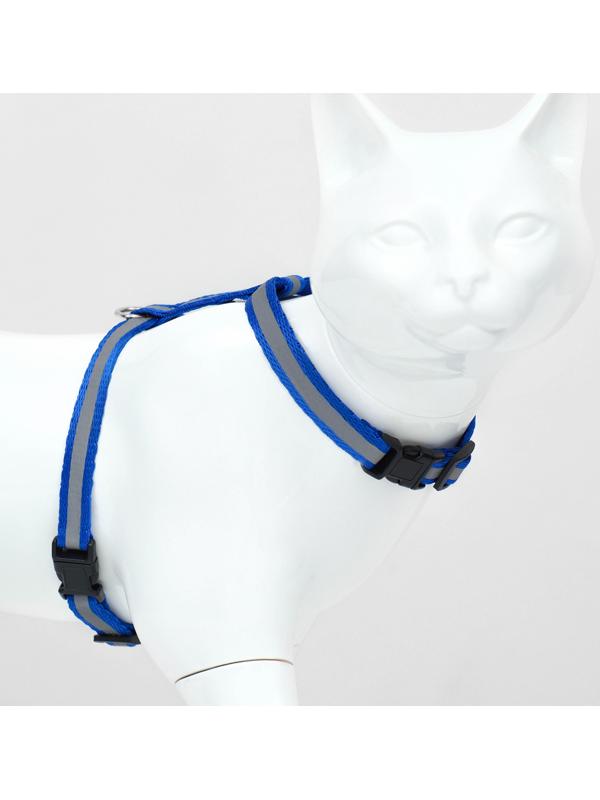 Комплект для кошек светоотражающий,ширина 1 см,шлейка 21-35 см,поводок 120 см, синий