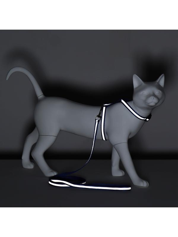 Комплект для кошек светоотражающий,ширина 1 см,шлейка 21-35 см,поводок 120 см, синий