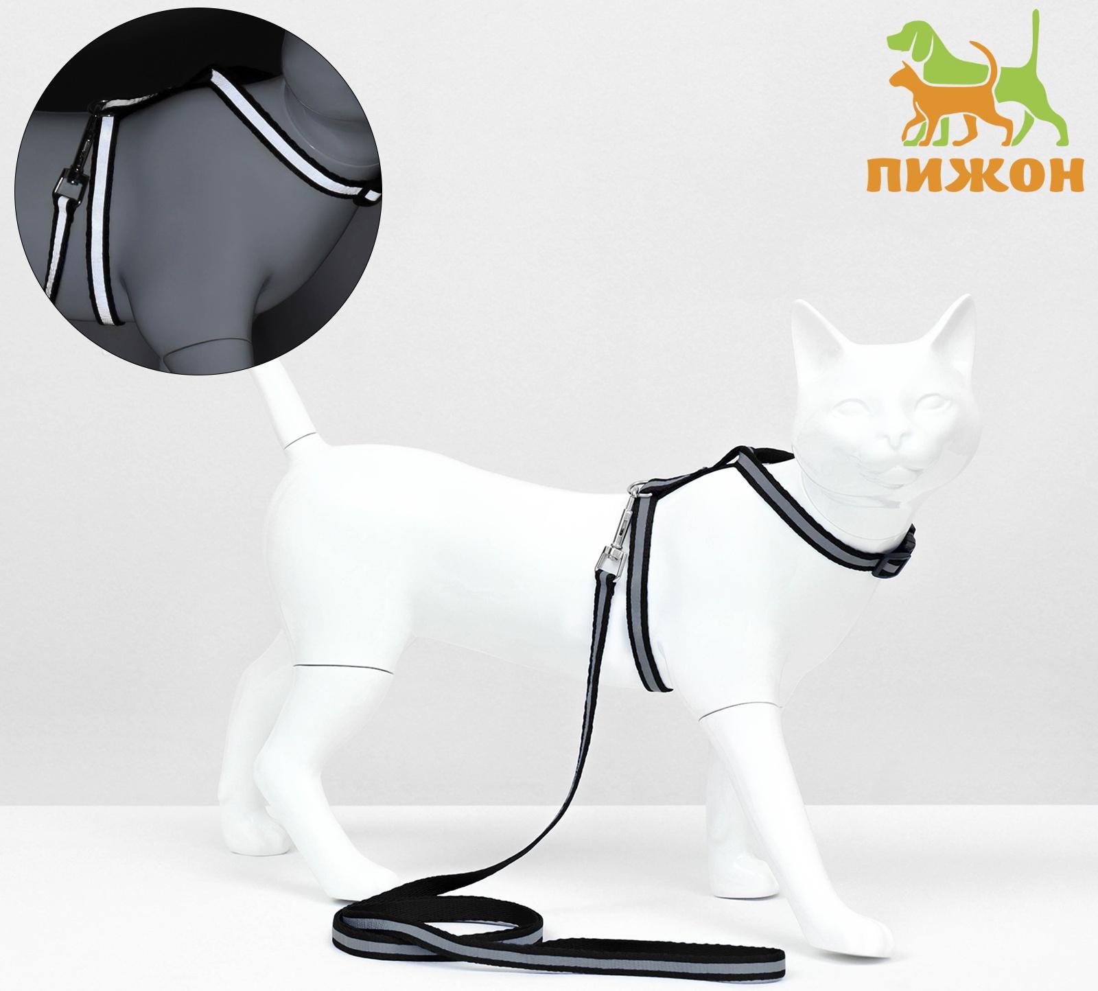 Комплект для кошек светоотражающий,ширина 1 см,шлейка 21-35 см,поводок 120 см, чёрный