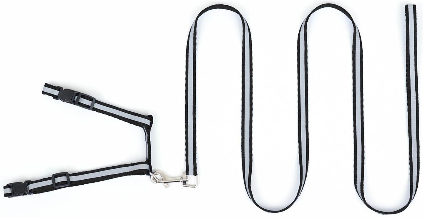 Комплект для кошек светоотражающий,ширина 1 см,шлейка 21-35 см,поводок 120 см, чёрный