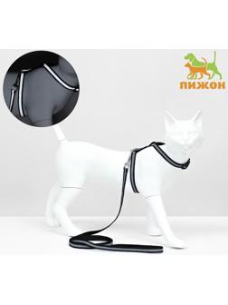 Комплект для кошек светоотражающий,ширина 1 см,шлейка 21-35 см,поводок 120 см, чёрный