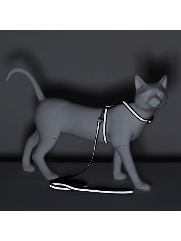 Комплект для кошек светоотражающий,ширина 1 см,шлейка 21-35 см,поводок 120 см, чёрный