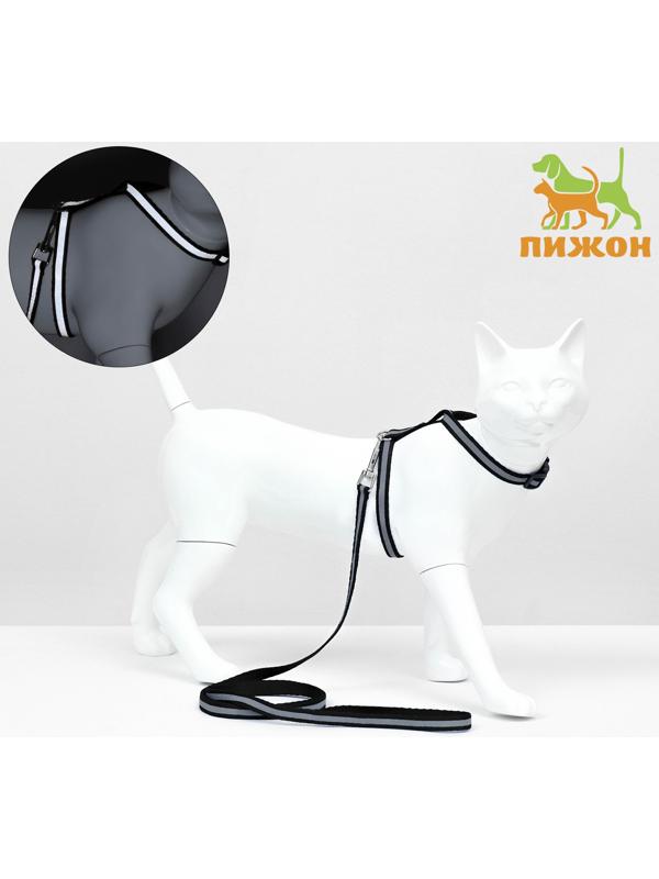 Комплект для кошек светоотражающий,ширина 1 см,шлейка 21-35 см,поводок 120 см, чёрный