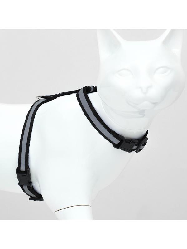 Комплект для кошек светоотражающий,ширина 1 см,шлейка 21-35 см,поводок 120 см, чёрный