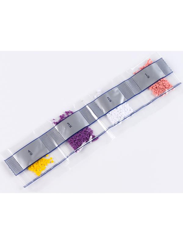 Алмазная вышивка с частичным заполнением «Мичико», 13,7 × 18,3 см, картон