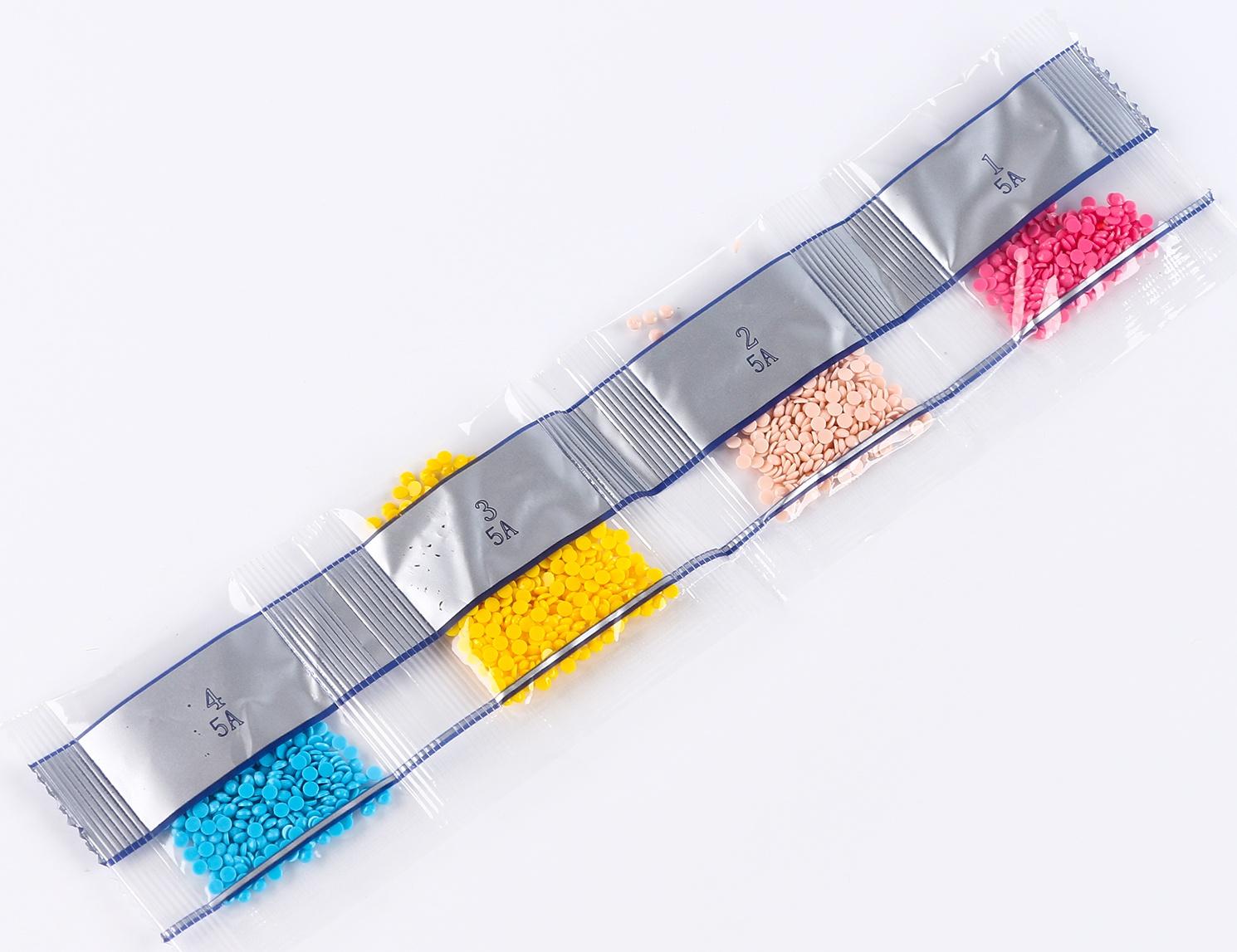 Алмазная вышивка с частичным заполнением «Харука», 13,7 × 18,3 см, картон