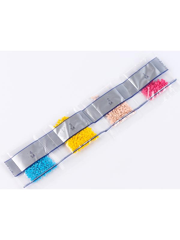 Алмазная вышивка с частичным заполнением «Харука», 13,7 × 18,3 см, картон