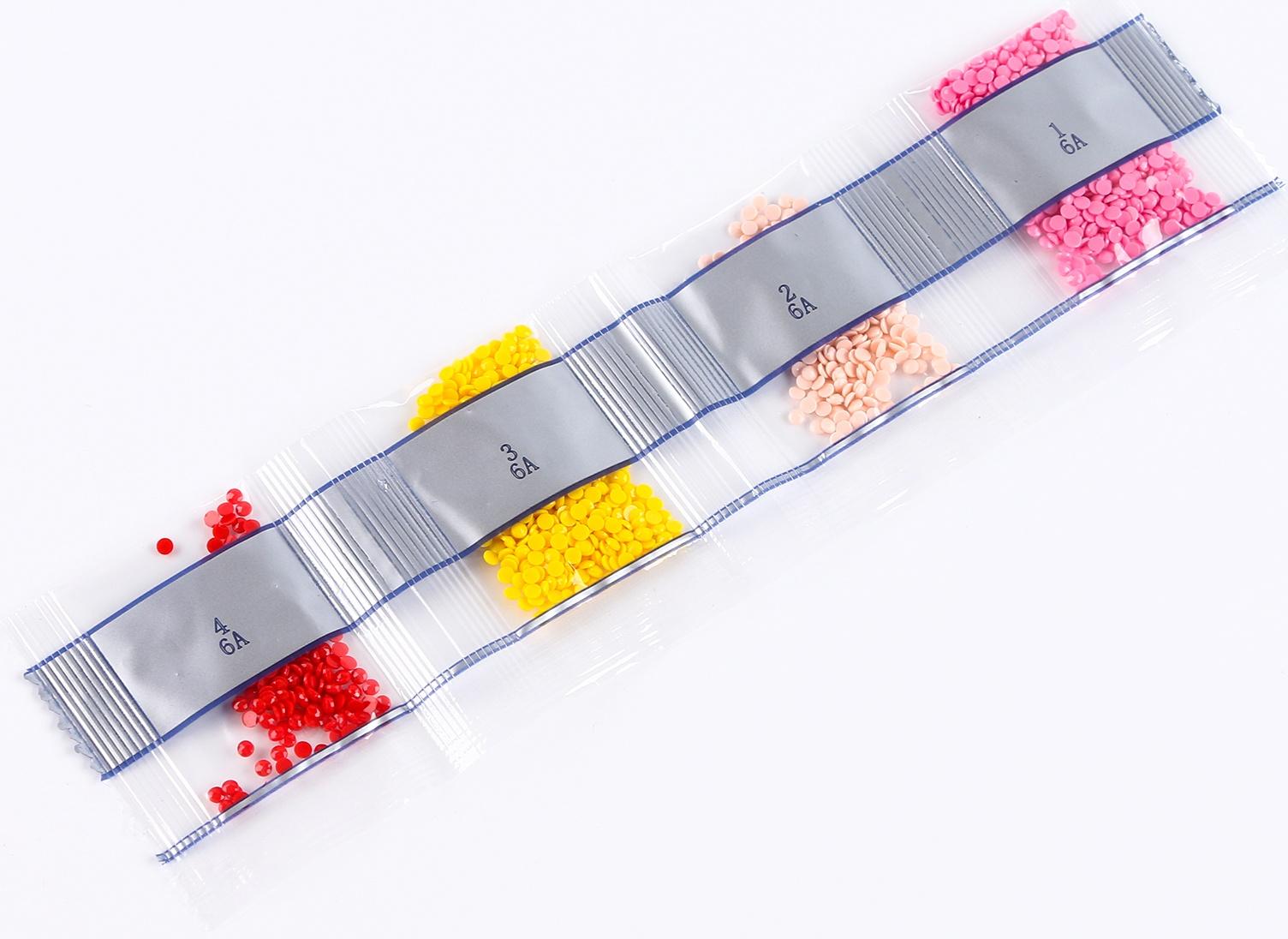 Алмазная вышивка с частичным заполнением «Башира» 13,7 × 18,3 см, картон