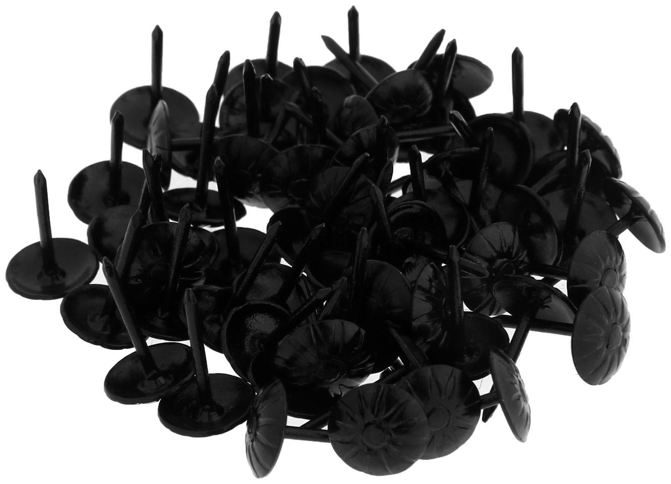 Гвозди ТУНДРА, декоративные, фактурные, 11х16 мм, черные, 100 шт