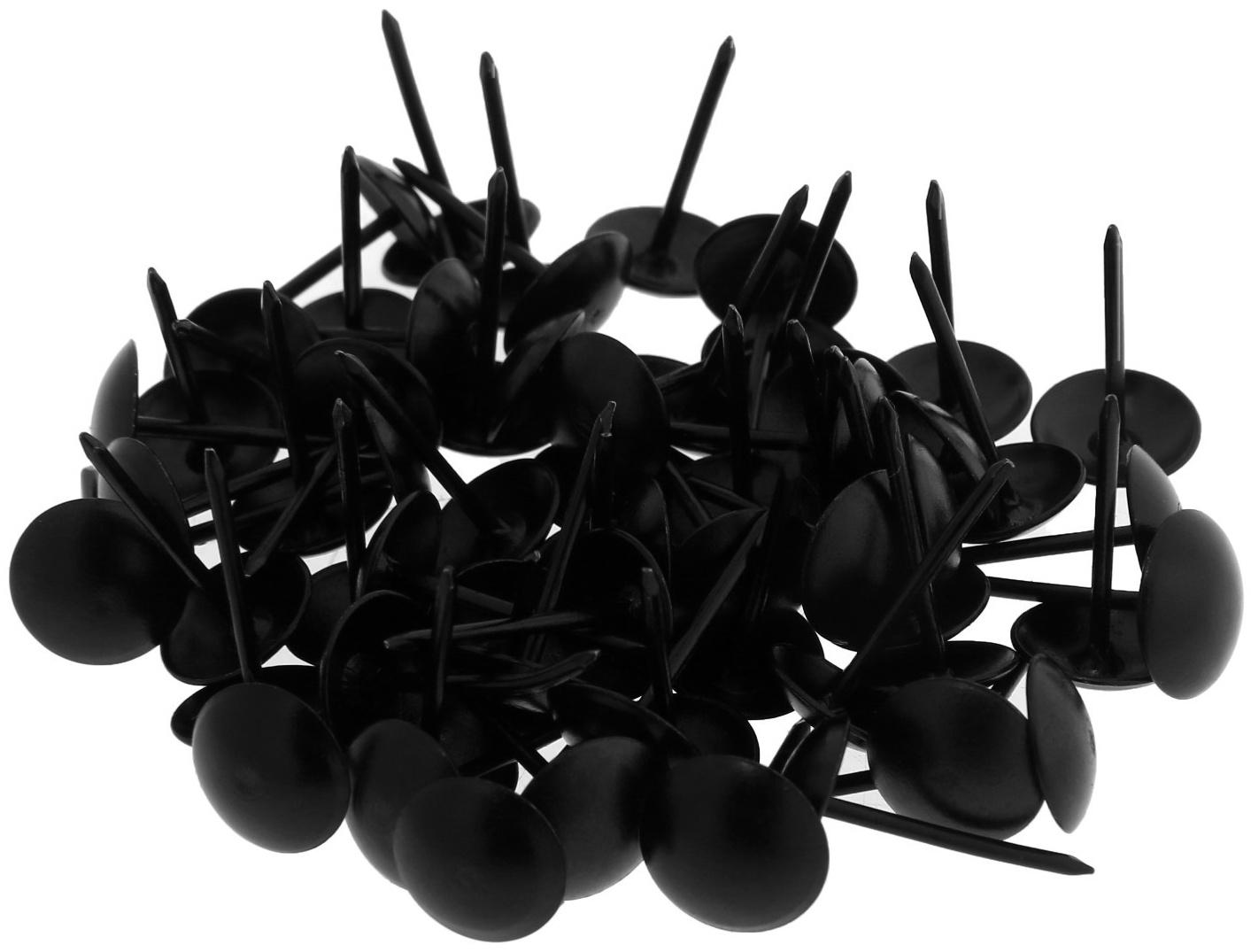Гвозди ТУНДРА, декоративные, 11х19 мм, черные, 100 шт