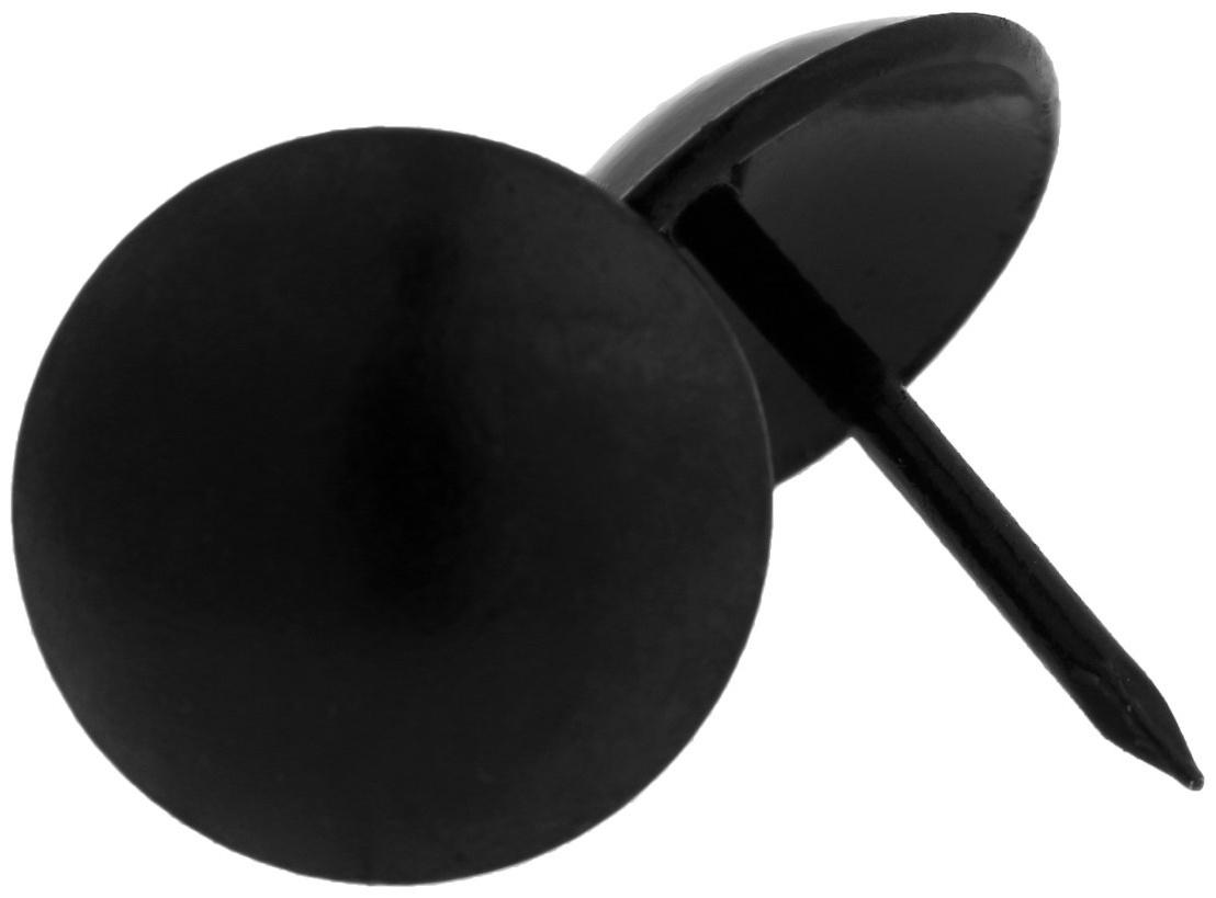 Гвозди ТУНДРА, декоративные, 19х22 мм, черные, 200 шт