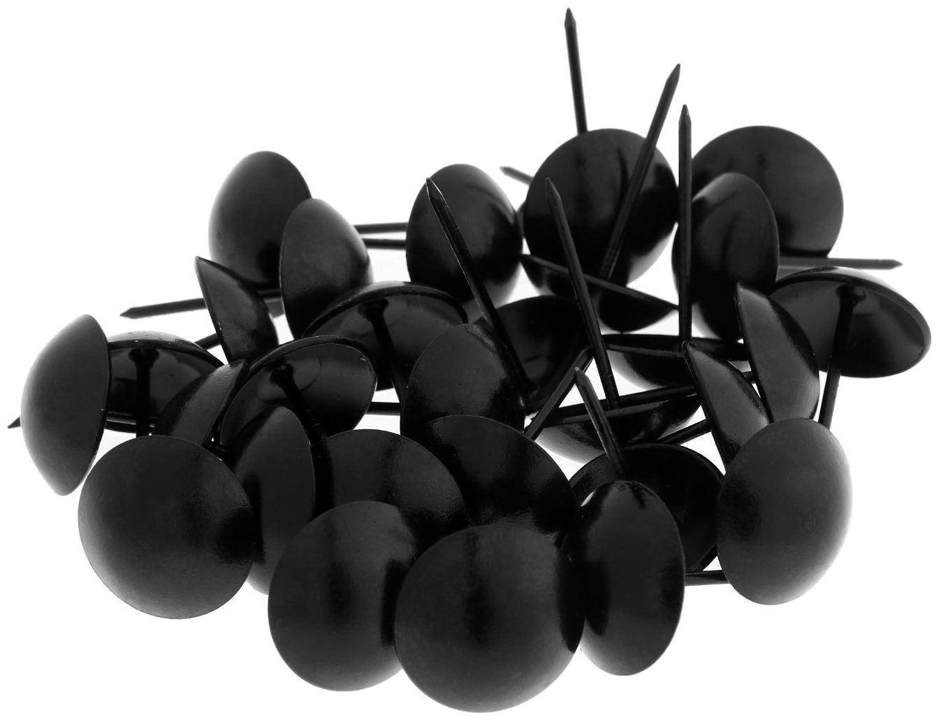 Гвозди ТУНДРА, декоративные, 25х39 мм, черные, 100 шт