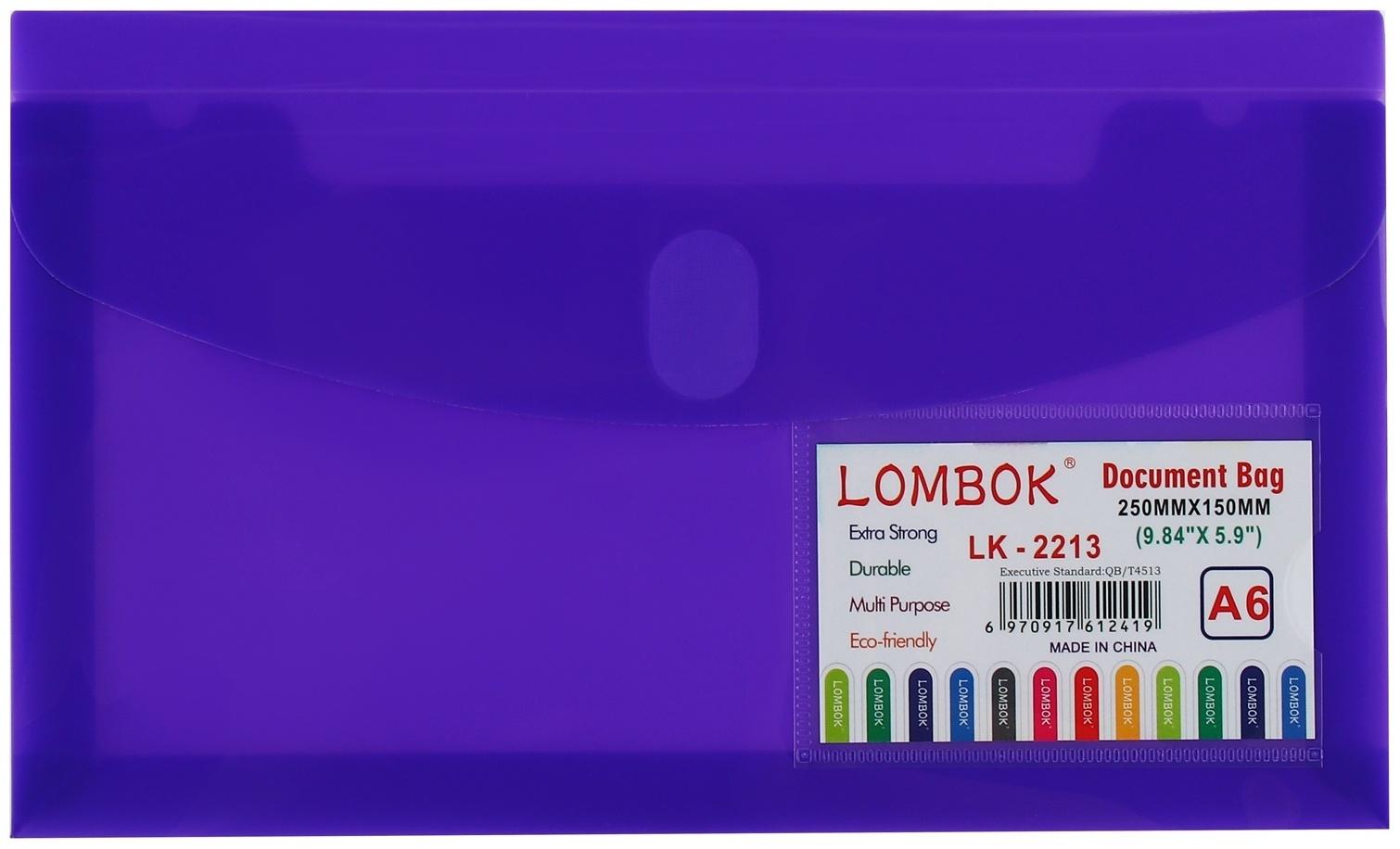Папка-конверт на липучке А65, 180 мкр, с расширением, карман для визиток, МИКС