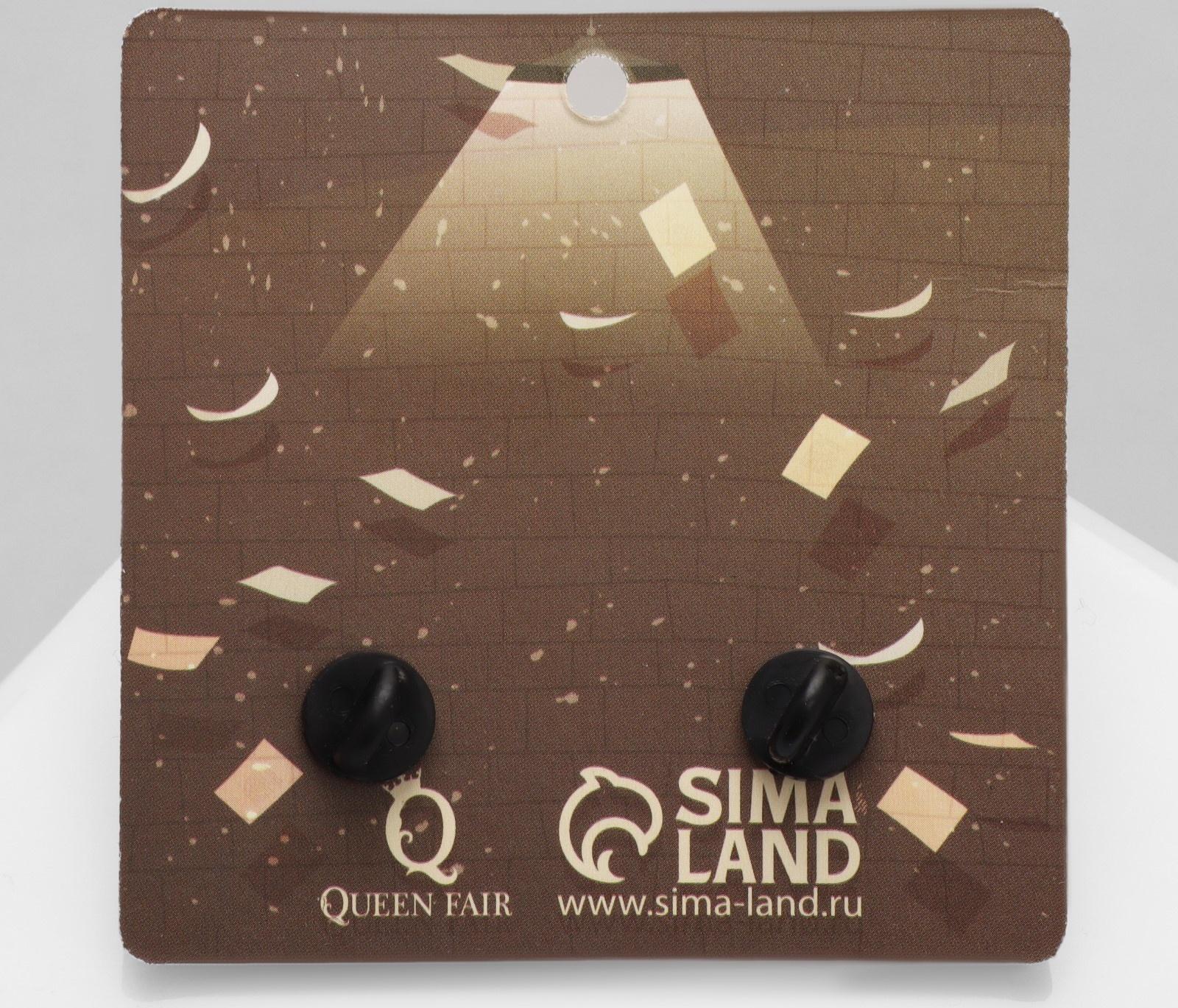 Набор значков (2шт) 