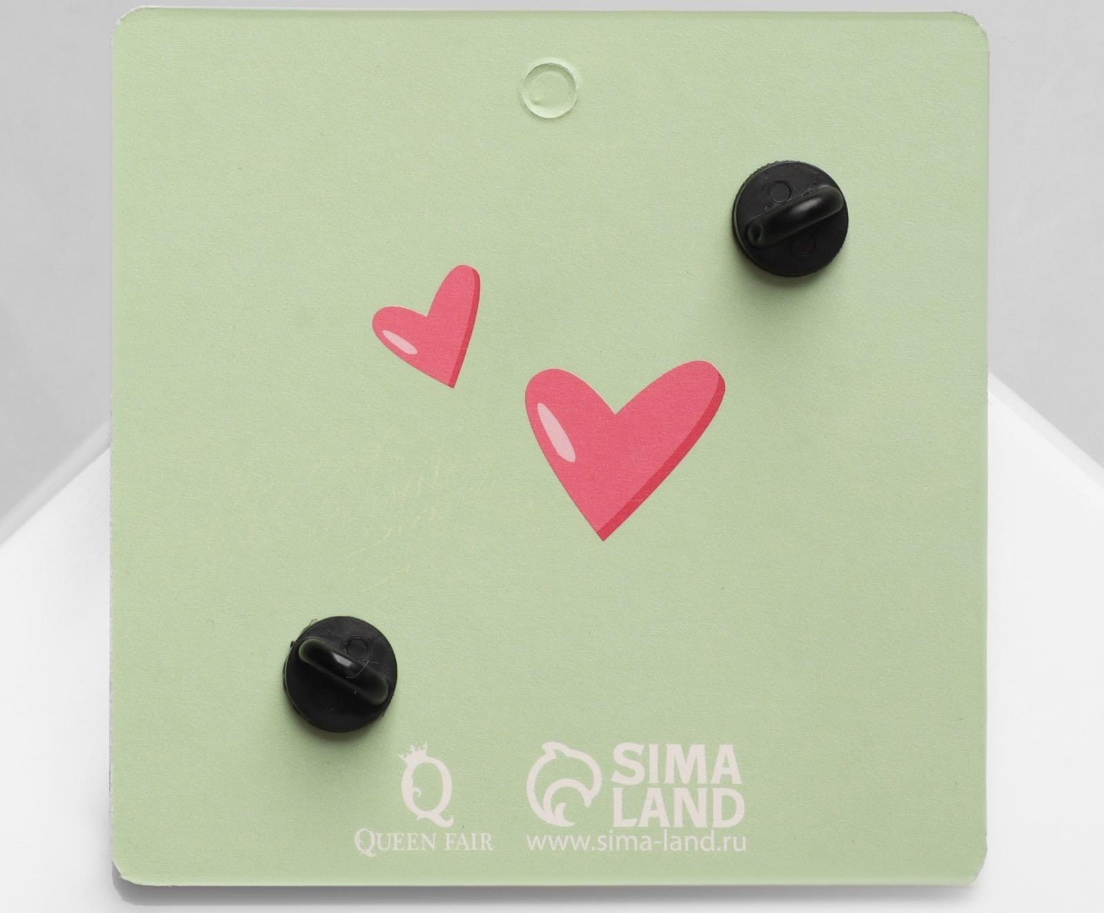 Набор значков (2шт) 