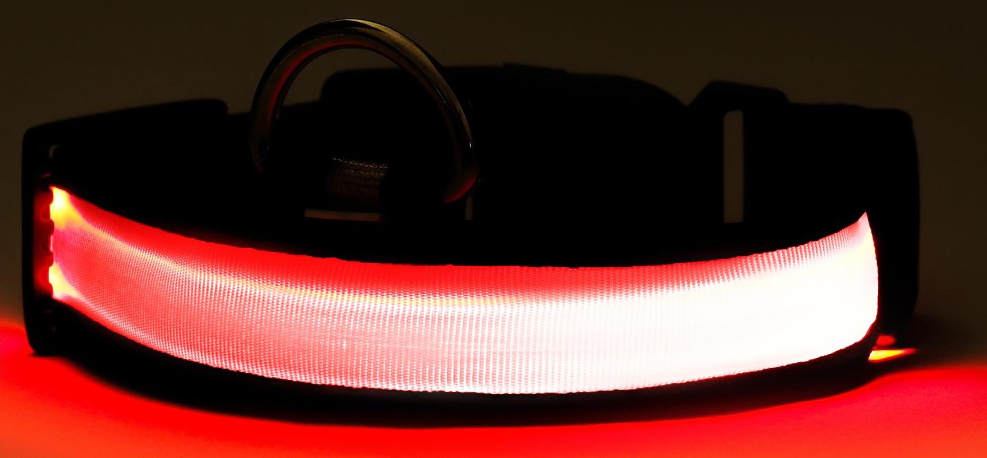 Ошейник с подсветкой Flash 3 режима свечения, размер М, ОШ 40-48 х 2,5 см, красный