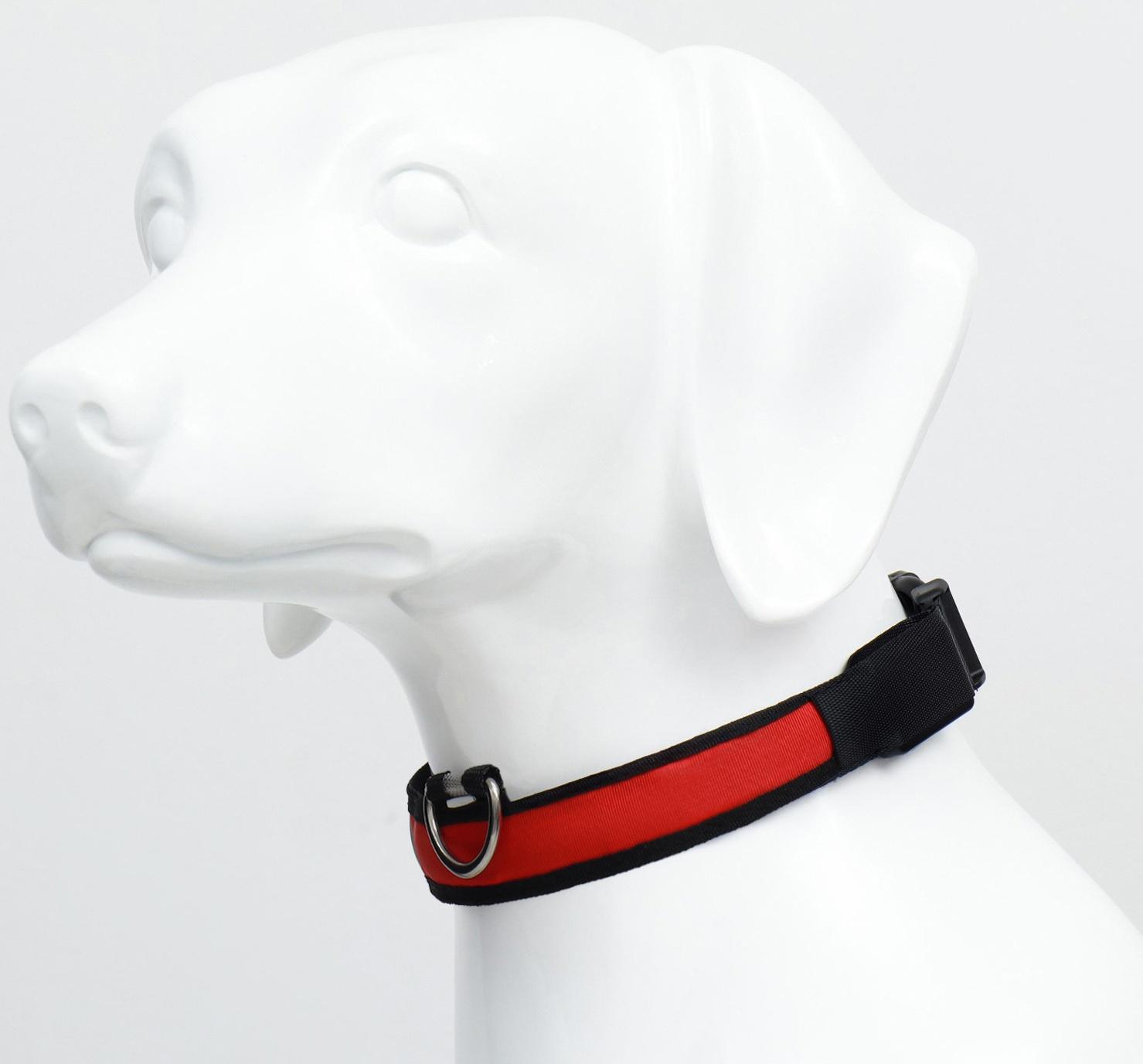 Ошейник с подсветкой Flash 3 режима свечения, размер М, ОШ 40-48 х 2,5 см, красный